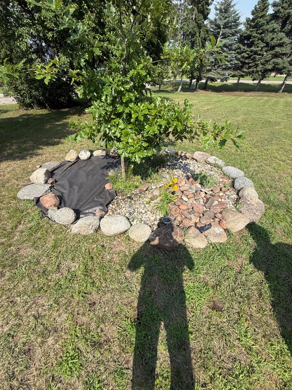 Yard renovation