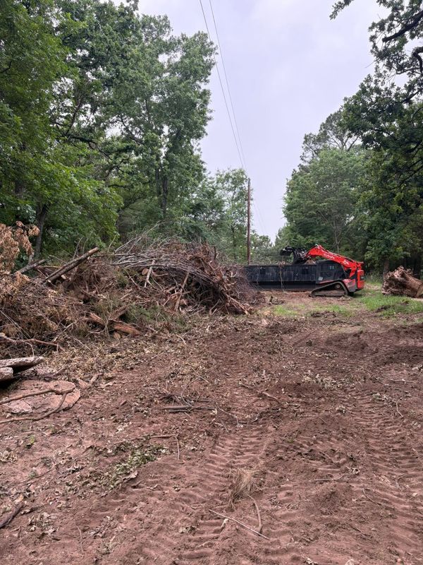 Tree Removal