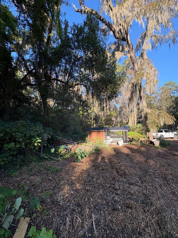Tree Trimming and Removal