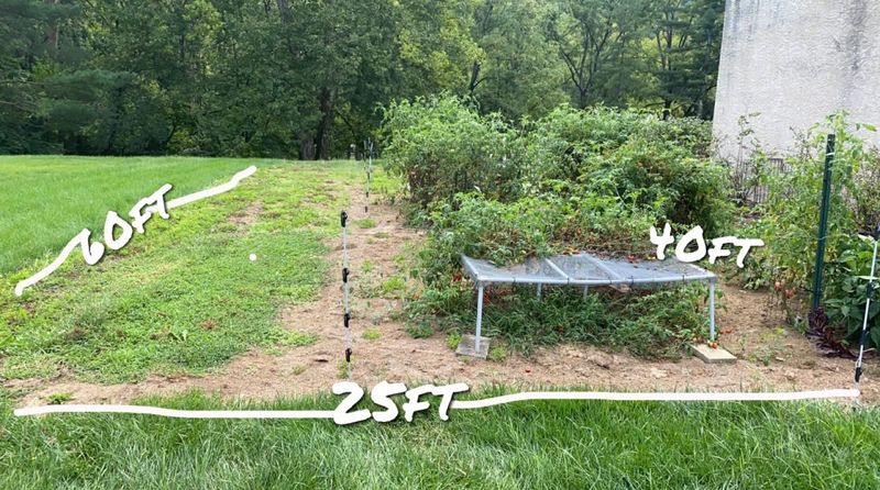 Brush Clearing / Land Leveling