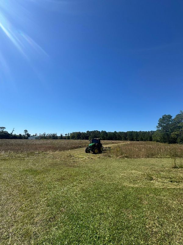 Forestry Mulching