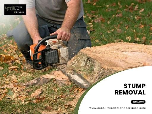 Stump Removal