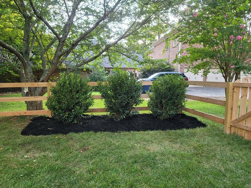 Mulch Installation
