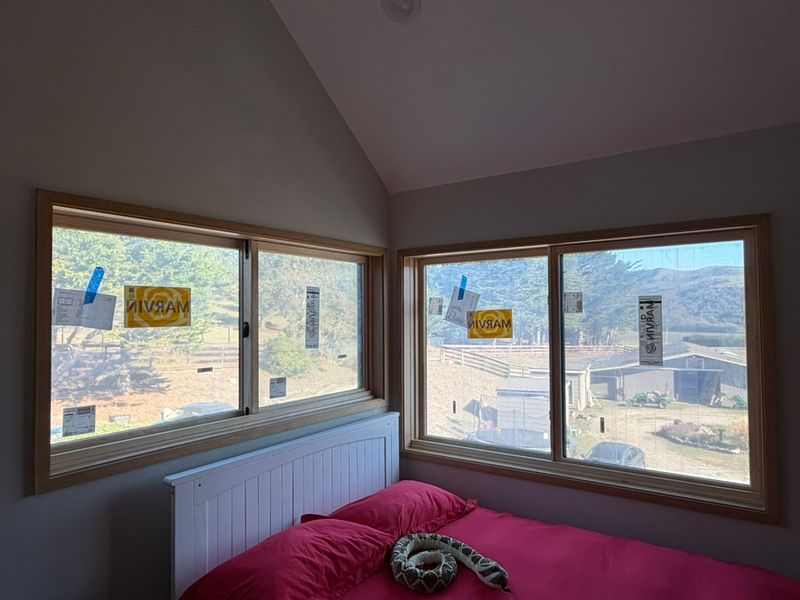 Windows & Doors