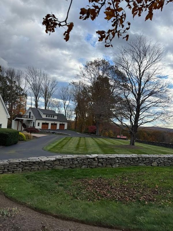 Fall Clean Up