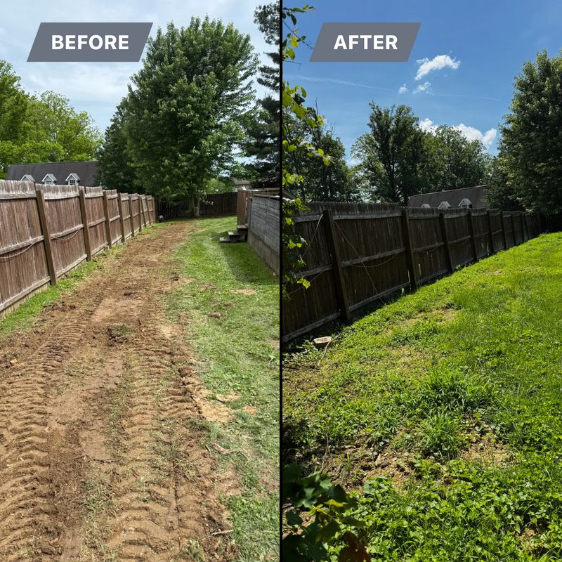 Before & After