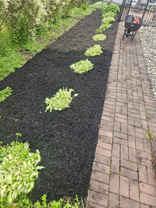 Plant & Shrub Installations