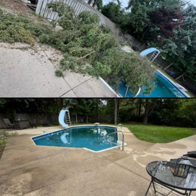 Storm Cleanup: Before and After