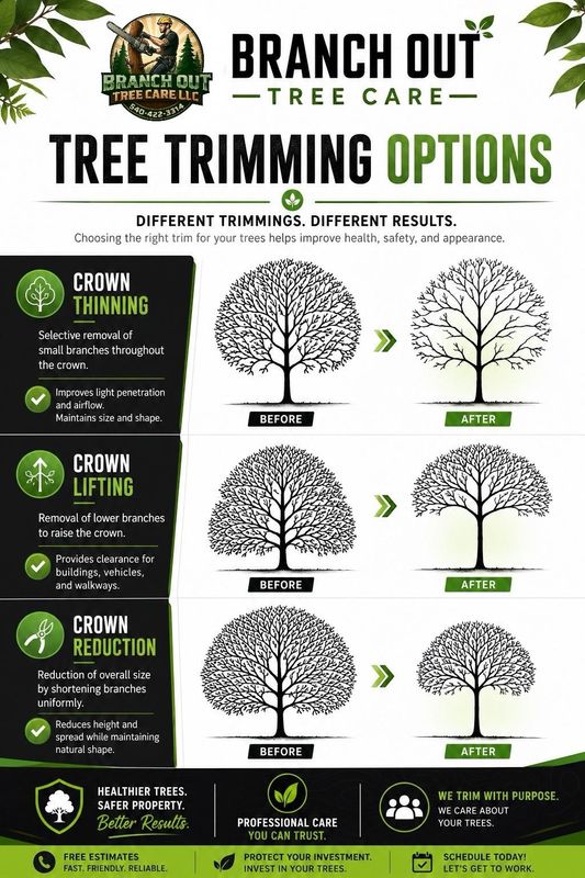 Tree Trimming