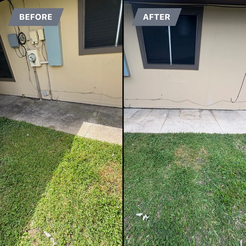 Pressure Washing