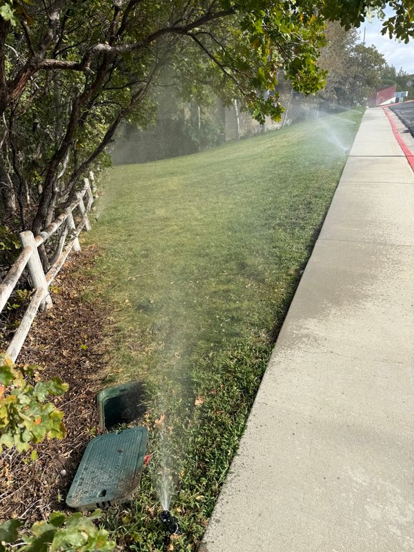 Commercial lawn maintenance