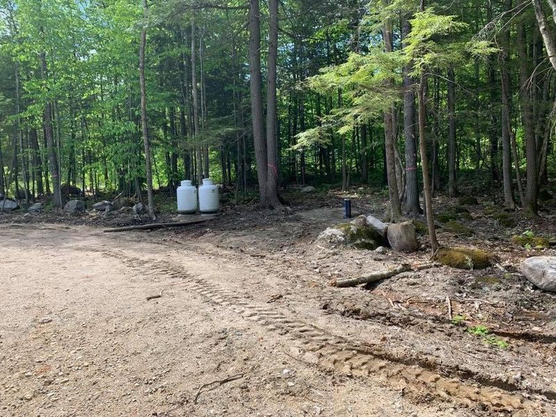 Brush Clearing