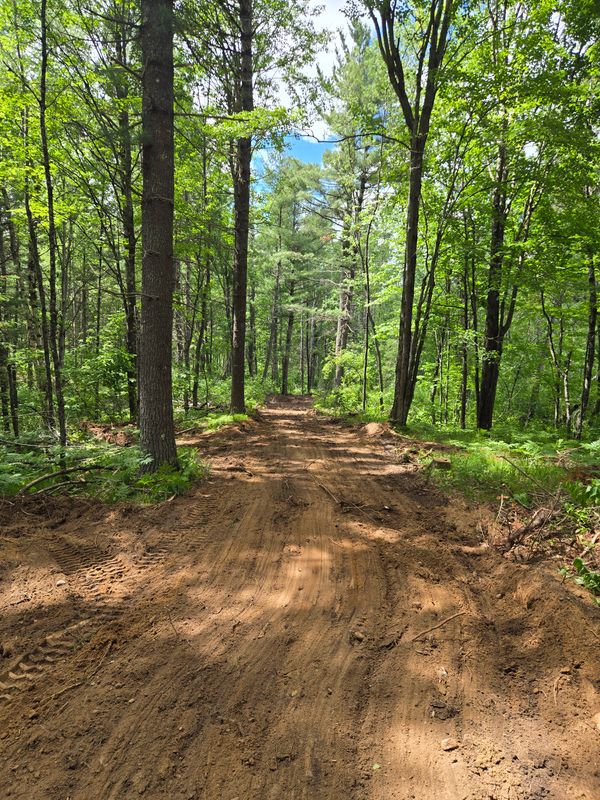 Road Building
