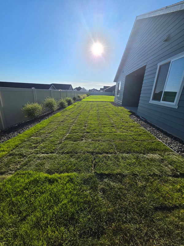 Landscaping