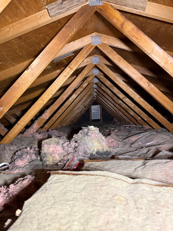 Free Attic Inspections