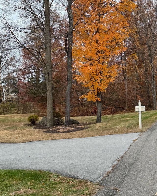 Fall Clean Up