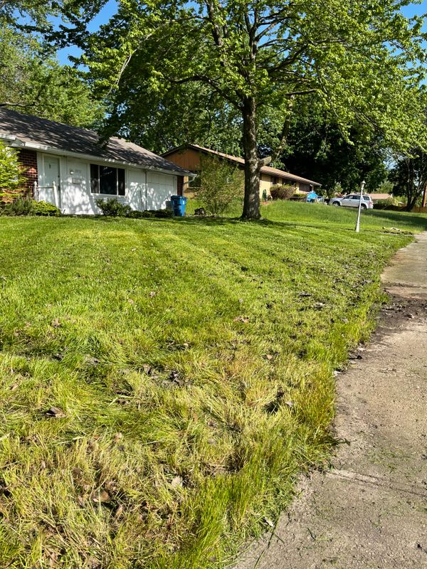 Bi-Weekly Lawn Maintenance