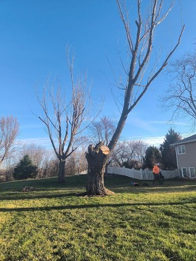 Tree Trimming