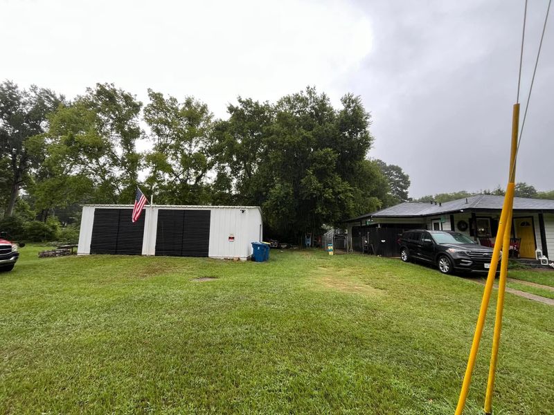 Tree Removal gallery