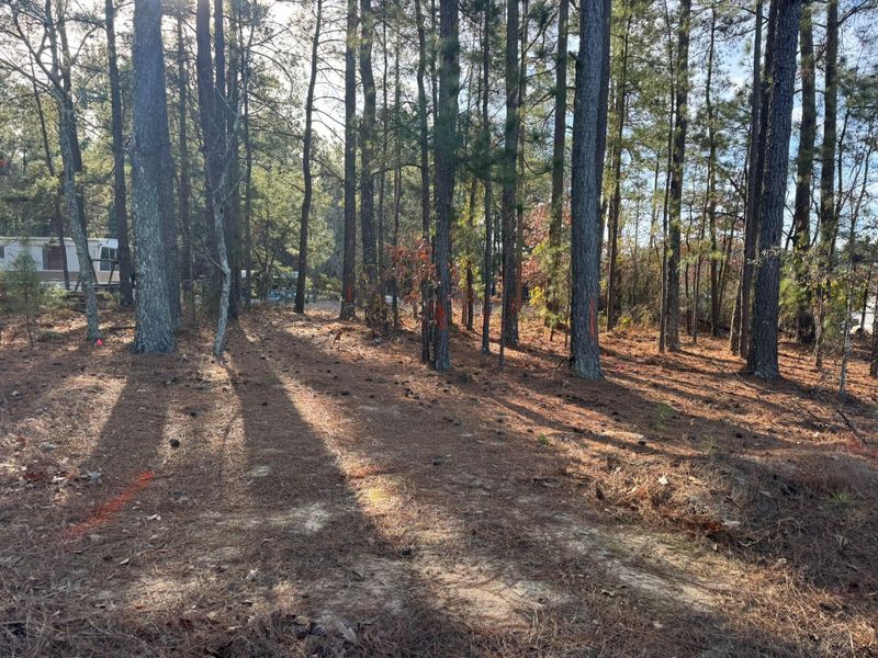 Forestry Mulching