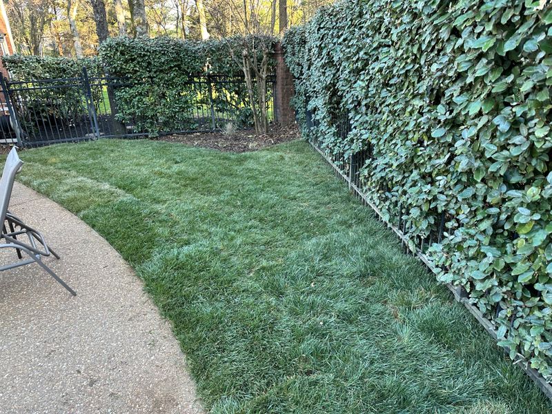 Landscaping