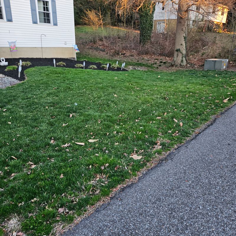 Lawn Maintenance