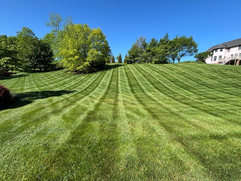 Lawn Mowing