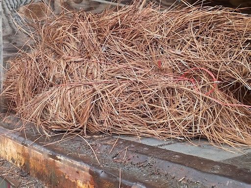 Pinestraw Installation