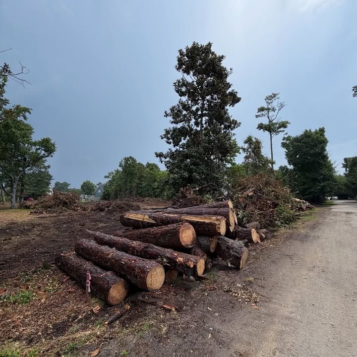 Land Clearing