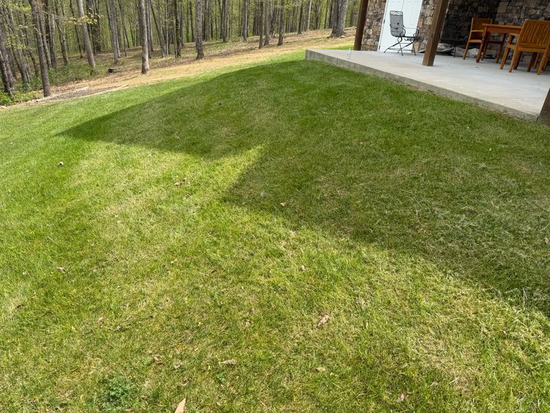 Lawn Maintenance