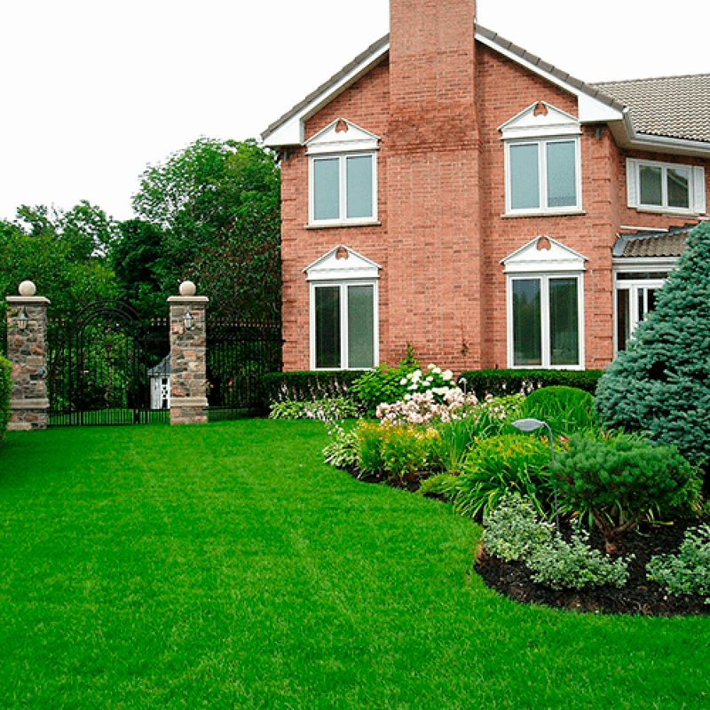 Lawn Care
