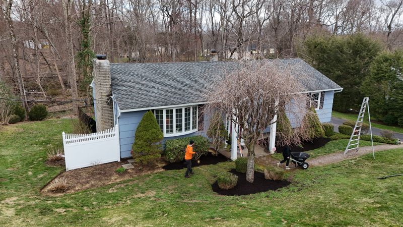 Landscape Maintenance gallery