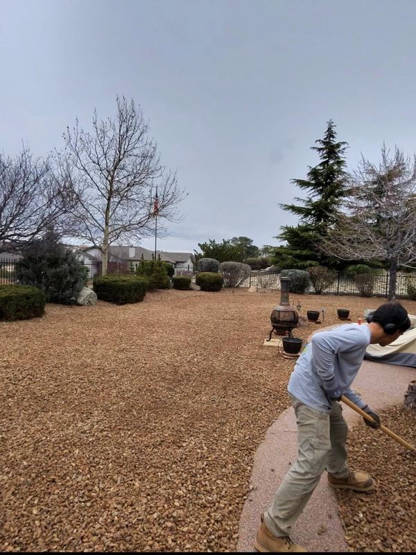 Landscape Design