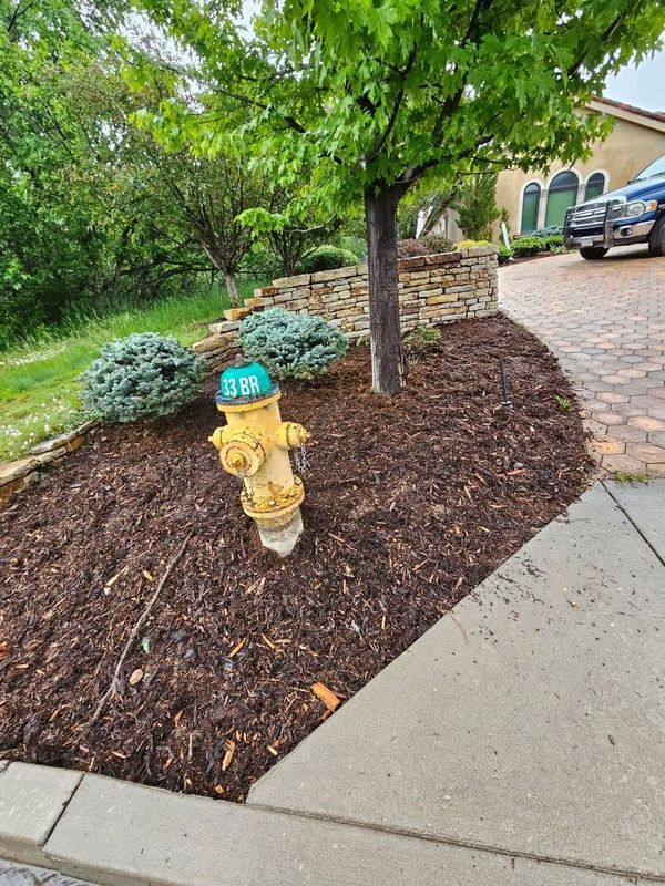 Plant & Shrub Installations