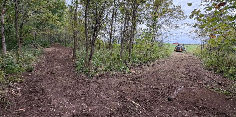 Land Clearing