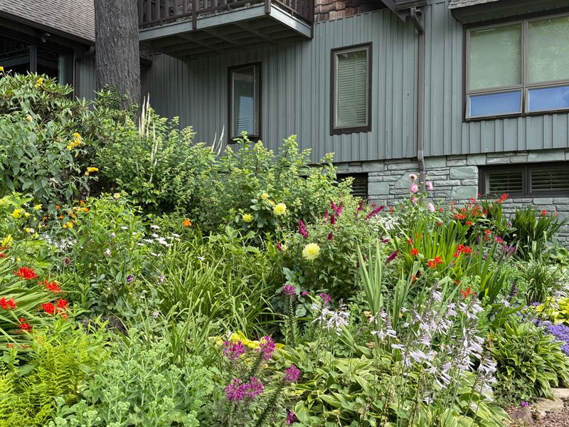Perennial Gardens gallery