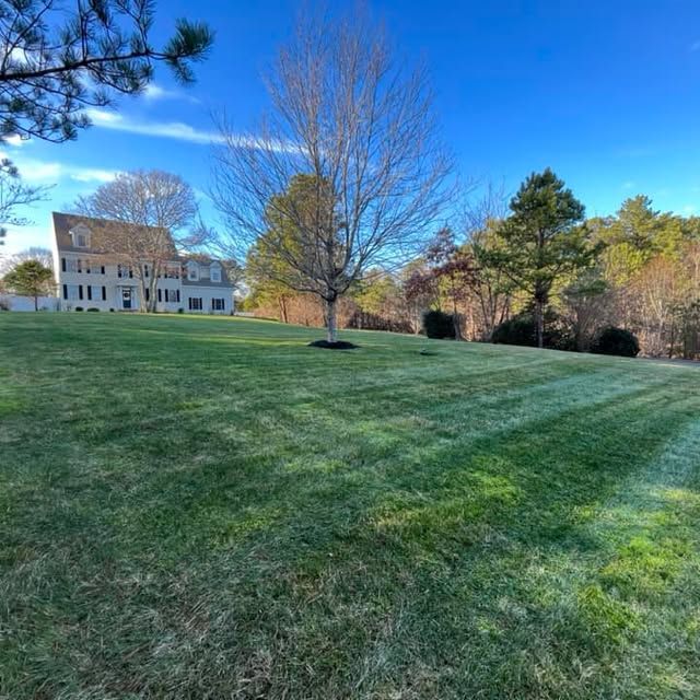 Mowing gallery