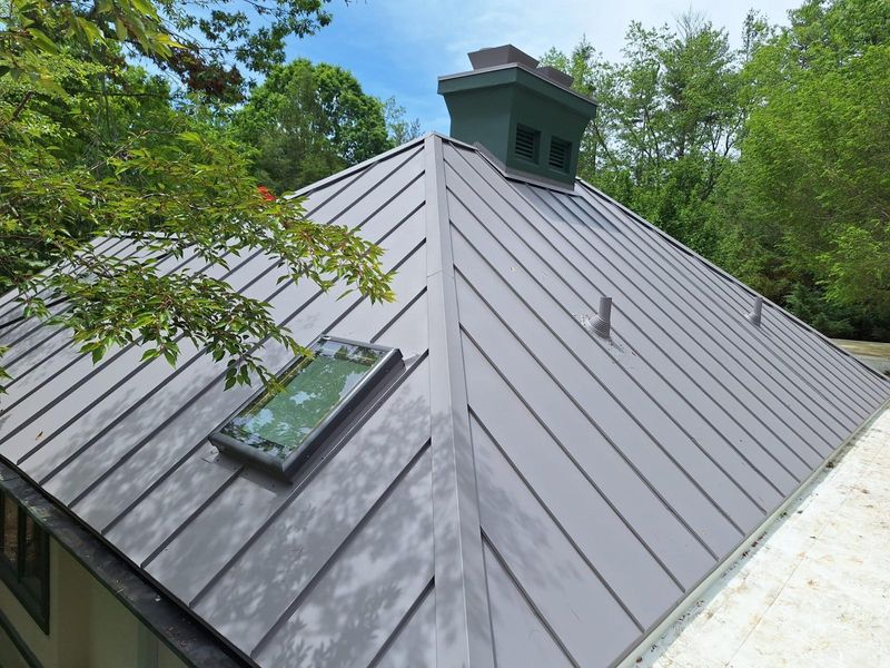 Metal Roofing