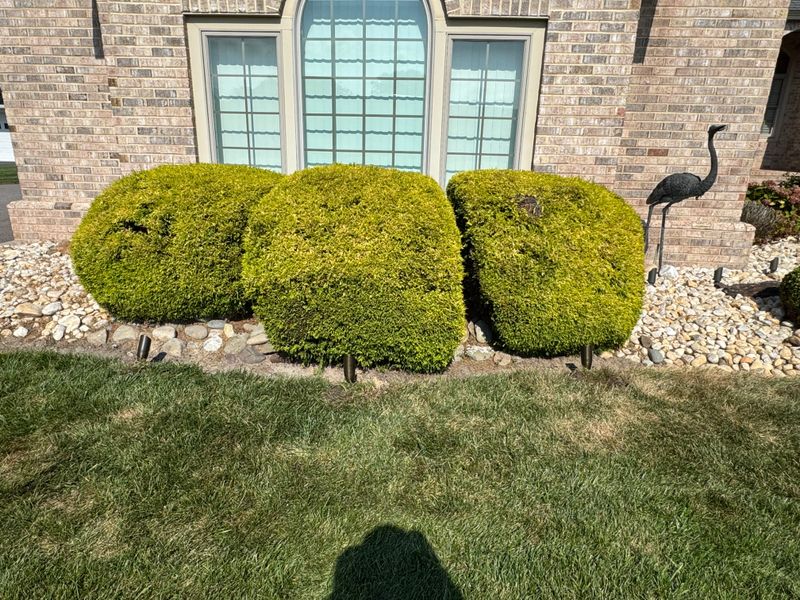 Landscaping Services