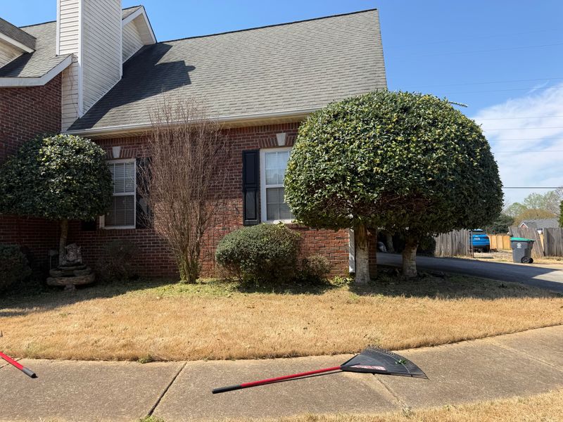 Tree & Shrub Care