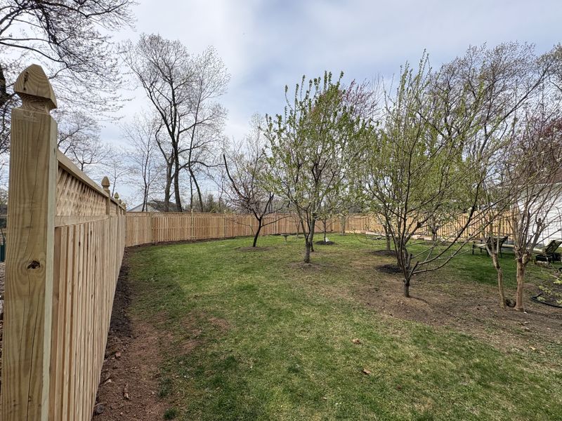 Fencing