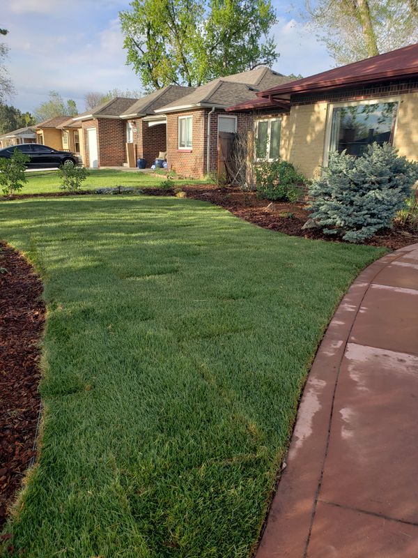 Mulch Installation