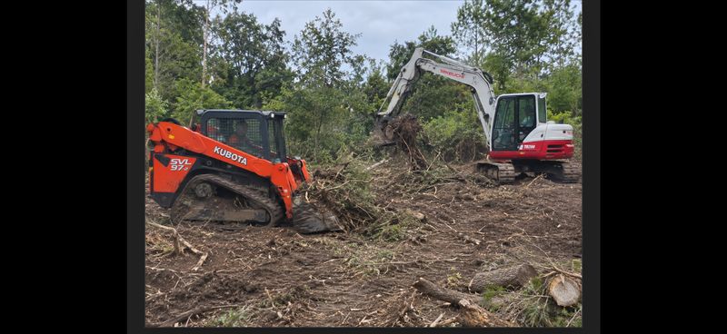 Tree Removal