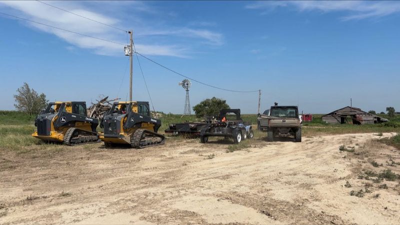 Tree Removal