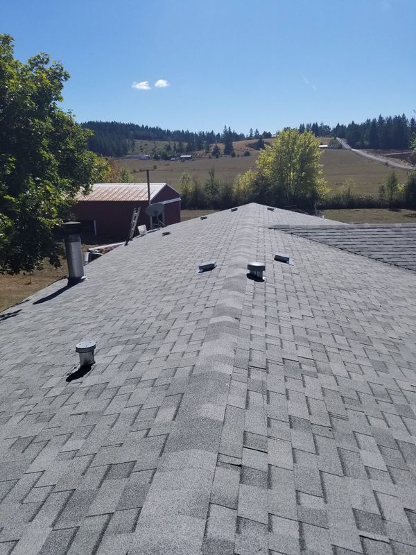 Shingle Roof Installation