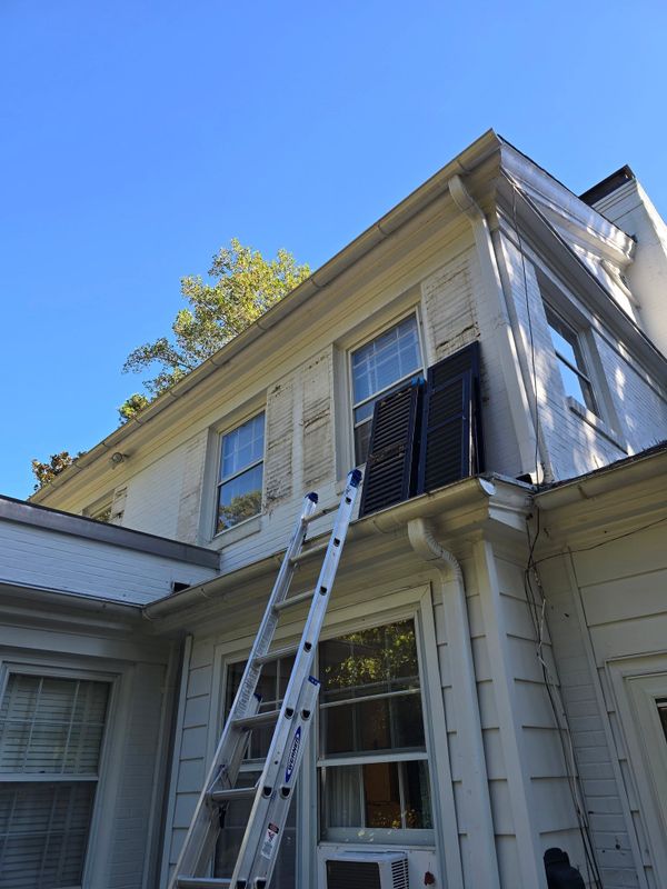 Painting Services
