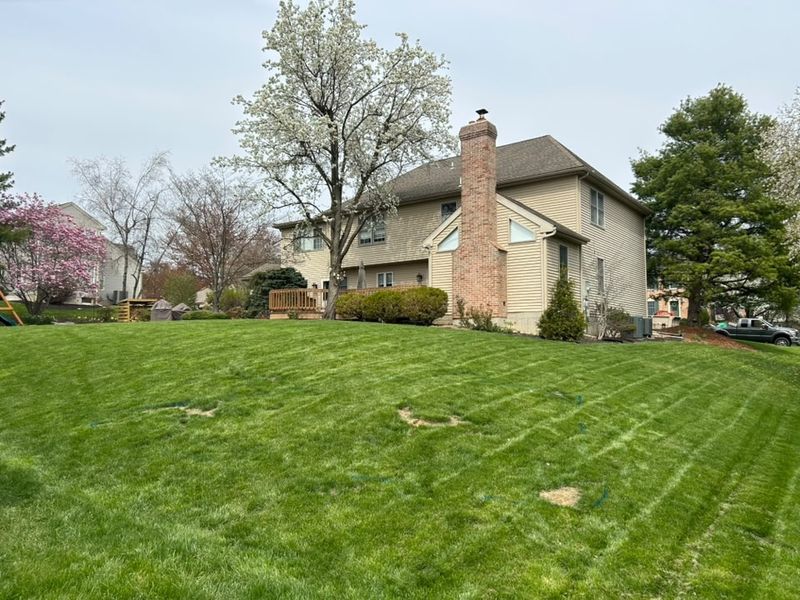 Lawn Maintenance
