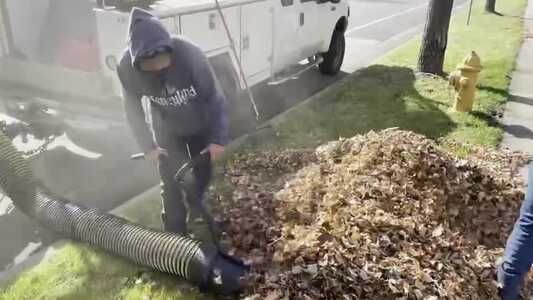 Fall Clean Up
