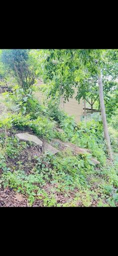 Land Clearing