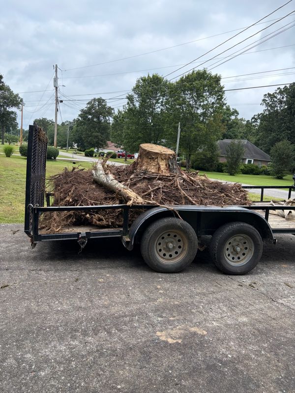 Stump Removal